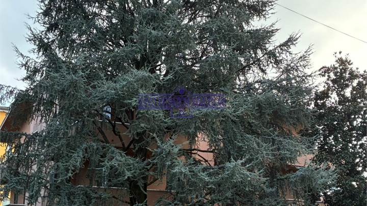 4 LOCALI VICINANZA METRO CON TERRAZZO BALCONI E DOPPIO BOX 